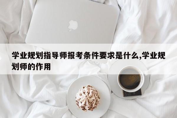 学业规划指导师报考条件要求是什么,学业规划师的作用