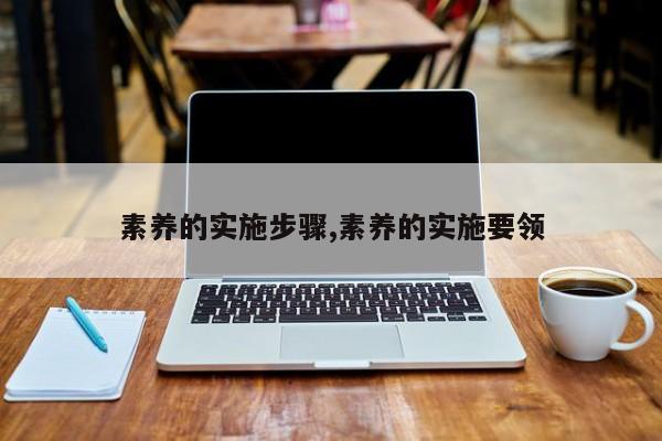 素养的实施步骤,素养的实施要领