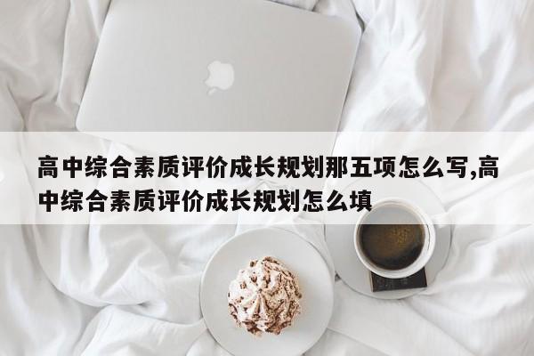 高中综合素质评价成长规划那五项怎么写,高中综合素质评价成长规划怎么填